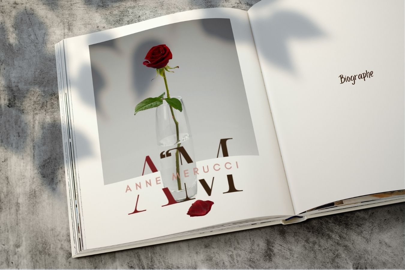 Logo d'Anne Merucci, Biographe privée, déposé délicatement sur une page de livre ouverte aux côtés d'une rose rouge, illustrant la rédaction de mémoires et d'histoires personnelles.