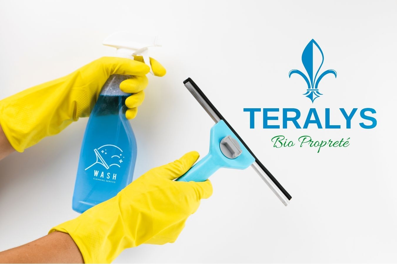 Logo officiel Teralys Bio Propreté, avec son icône de fleur de lys stylisée, sur un fond vert forêt profond, symbolisant l'engagement écologique.