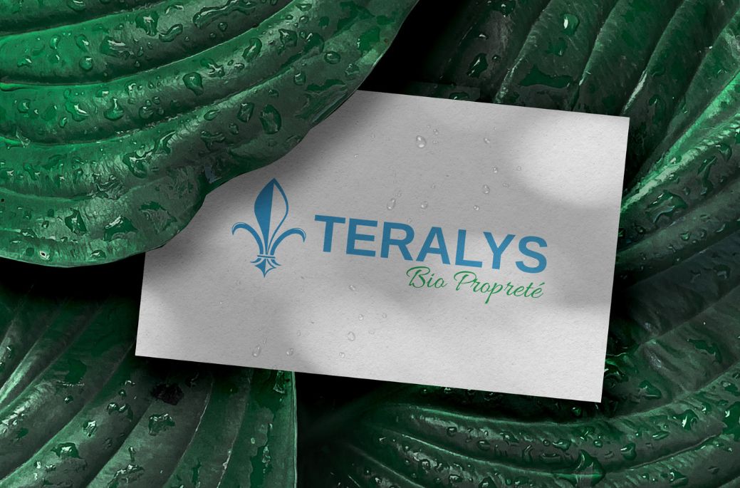Carte de visite Teralys Bio Propreté posée sur une feuille verte texturée, mettant en avant le logo et l'identité écologique de l'entreprise.