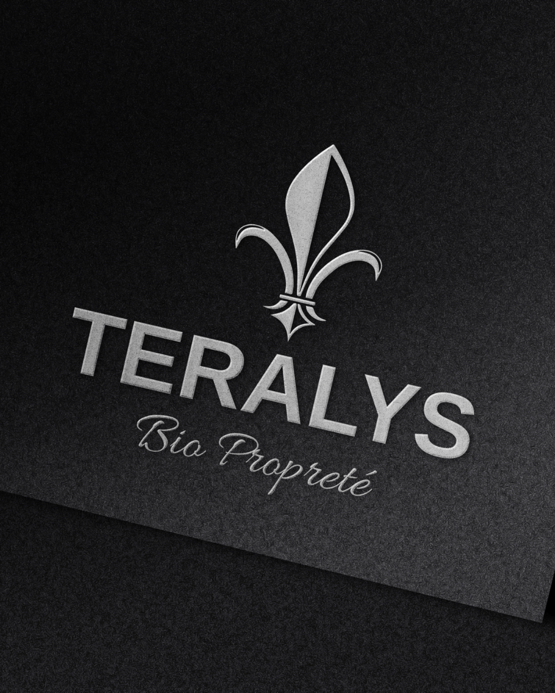 Logo Teralys Bio Propreté sur un mur blanc épuré avec un vase et une plante verte pour souligner l'aspect naturel.